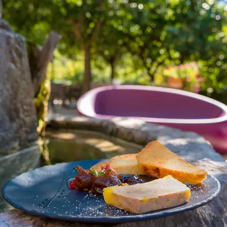 Logis Restaurant Le Pradinas 3*