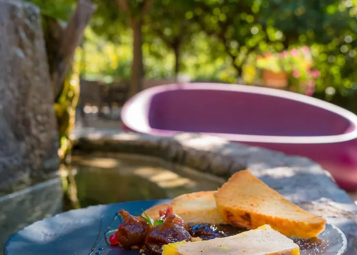 Logis Restaurant Le Pradinas 3*