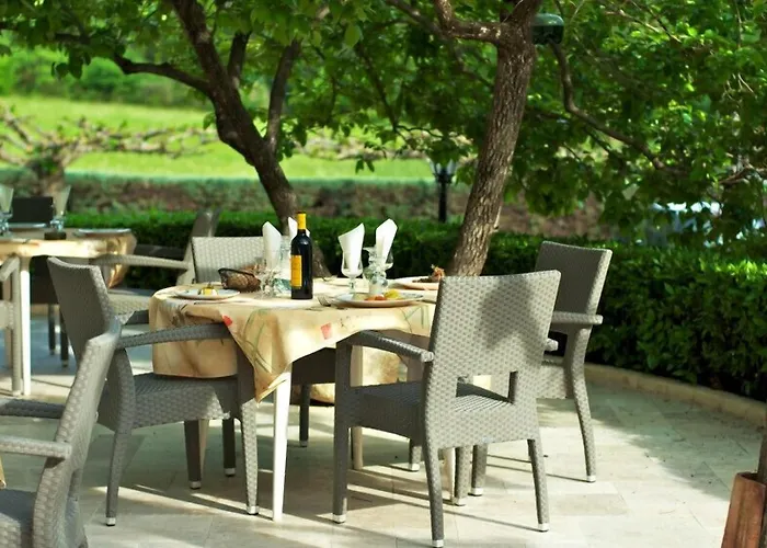 Logis Hotel Restaurant Le Pradinas 3* Андюз